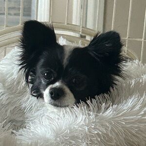 Meet your Posher, Valerie